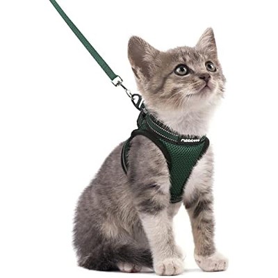 rabbitgoo Cat Harness and Leash Set for Walking Escape Proof, Kittens Vest with Reflective Strip for Cats, Comfortable Outdoor Vest,Forest Green, S