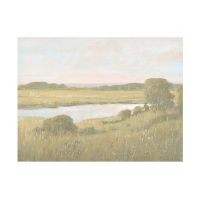 Trademark Fine Art - Tim OToole  Marsh Horizon at Dawn II Canvas Art