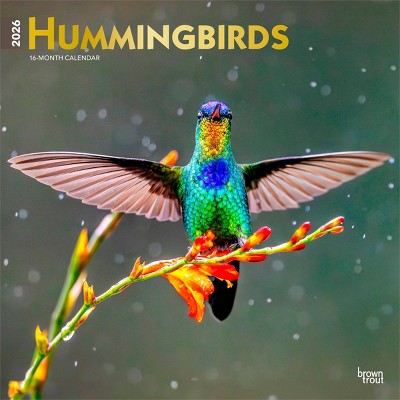 BrownTrout Hummingbirds 2026 12"x24" Hanging Square Wall Calendar Plastic-Free