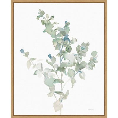 Amanti Art Eucalyptus II Cool by Danhui Nai Canvas Wall Art Print Framed 16 x 20-in.