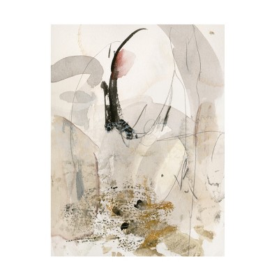 Trademark Fine Art - Melissa Wang  Sands & Sediments II Canvas Art