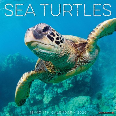 Willow Creek Press 2026 Sea Turtles Wall Calendar