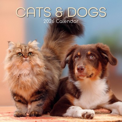 2026 Square Wall Calendar, Cats & Kittens, 16-Month Animals Theme with 180 Reminder Stickers (12x12 In)