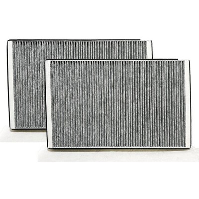 Nispira Model X Cabin Intake Air Conditioning Inlet Vent Activated Carbon Filter Replacement For Tesla 2016 2017 2018 2019 2020, 2 Packs