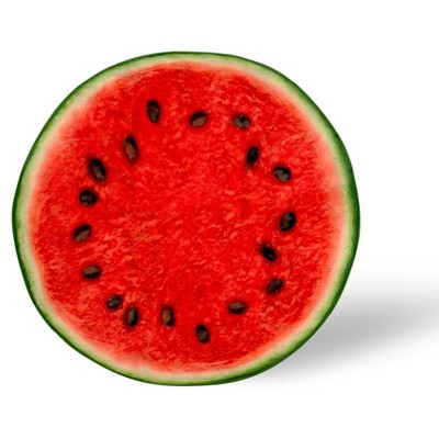 Toynk Watermelon Slice Round Fleece Throw Blanket | 60 Inches