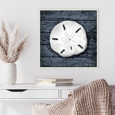 Amanti Art Seashore Shells Navy II by Marie Elaine Cusson Framed Wall Art Print