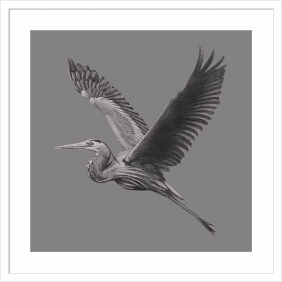 Amanti Art Great Grayscale Heron II by Grace Popp Wood Framed Wall Art Print