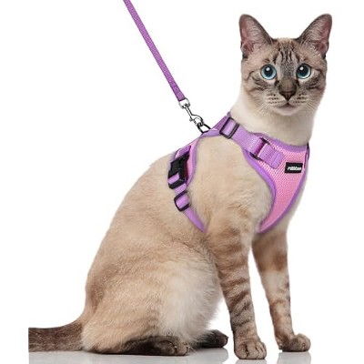 rabbitgoo Cat Harness and Leash Set, Escape , Easy Control Breathable Kitten Jacket with Reflective Strips, Pink & Purple, S