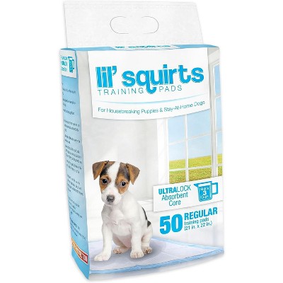 Ruffin' It Lil' Squirts Puppy Training Pads 50 Pk.