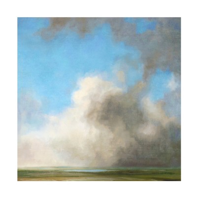 Trademark Fine Art - Suzanne Nicoll Cloud Cover 2 Canvas Art