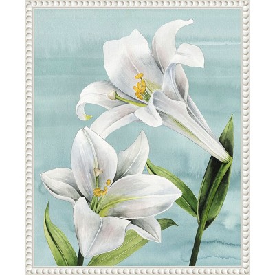 Amanti Art Peaceful Lilies I by Grace Popp Framed Canvas Wall Art