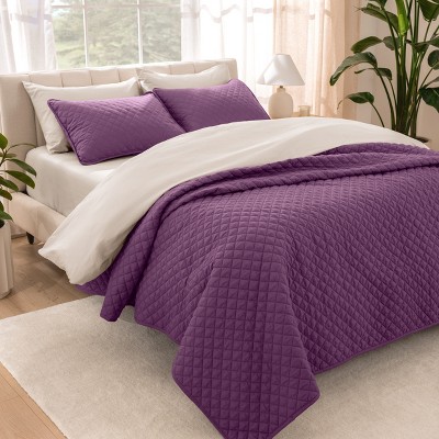 Oversized Quilted Coverlet Set by Bare Home