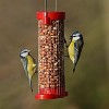 Jacobi Jayne Small Red Get Set Go! Peanut Bird Feeders - 3 of 3