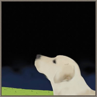 Amanti Art 30"x30" Yellow Dog Profile by Marjorie Weiss Framed Canvas Wall Art Print : Modern Lithograph, Polystyrene Frame