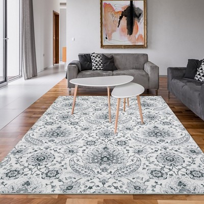 Vintage Paisley Area Rug Indoor Washable Rug