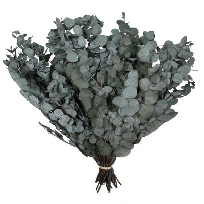 Vickerman Natural Botanicals 18-20" x 9" Eucalyptus Spiral, 100 grams per unit