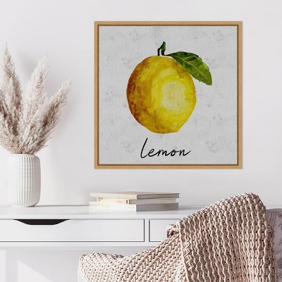 Amanti Art Summertime Citrus II by Regina Moore Framed Wall Art Print