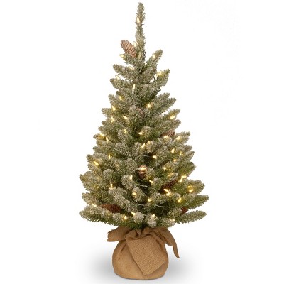 3ft National Tree Company Pre-Lit Snowy Concolor Fir Artificial Tree in Burlap with Snowy Cones & Warm White Battery Operated LEDs