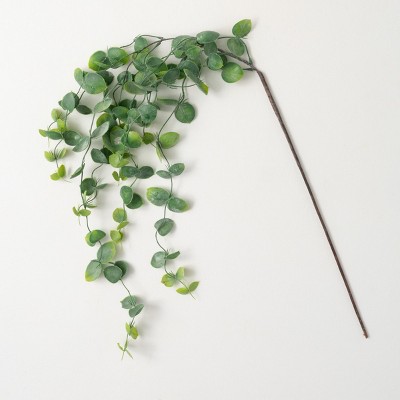 44"H Sullivans Silver Dollar Eucalyptus Drop, Green