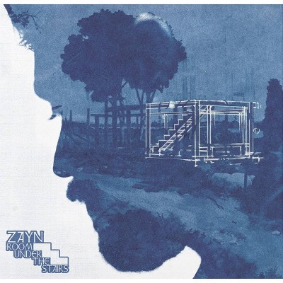ZAYN - Room Under The Stairs