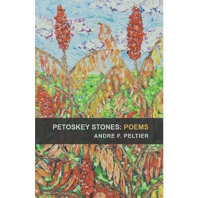 Petoskey Stones - by  Andre F Peltier (Paperback)