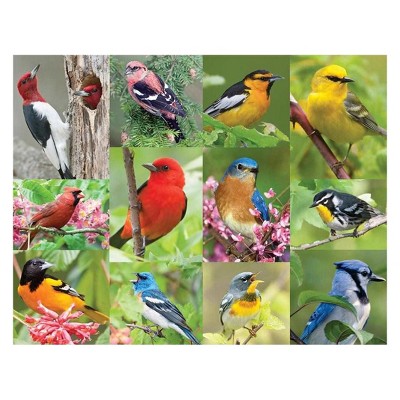 Springbok Birds Of A Feather Puzzle 500pc: Animals Themed Jigsaw, Memory Skills & Patterns Focus