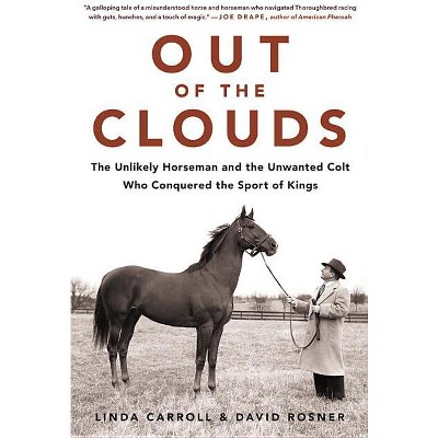 Out of the Clouds - by  Linda Carroll (Hardcover)