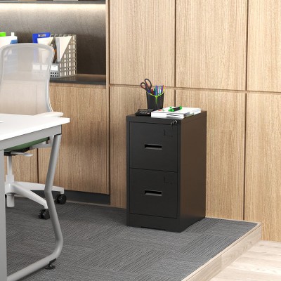 ACEPANO 28.5 in. H Narrow Metal Decorative Storage Cabinets with 2 Drawer For Home & Office-Black