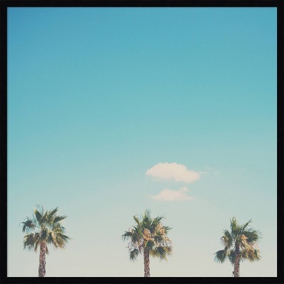 33" x 33" A Trio Of Palm Trees by Laura Evans Framed Wall Art Print Black - Amanti Art: California Scenery, Handmade in USA