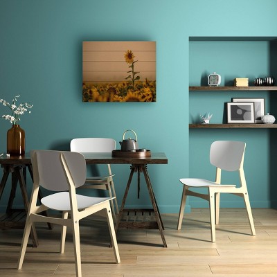 Trademark Fine Art Dan Ballard Sunflowers Fog Wood Slat Art