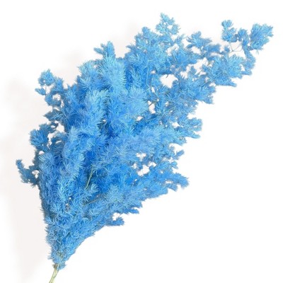 Alilang Decorative Dried Fine Leaf Stems for Home Decoration and Floral Arrangements, 17.7 Inches