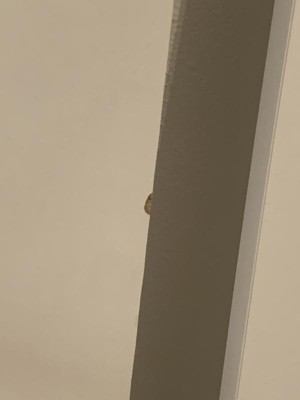 Guest review image 3 of 4, zoom in